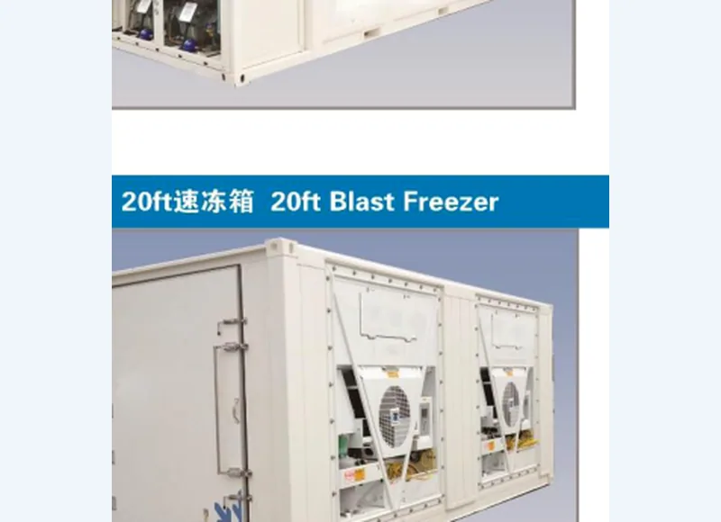 Imagen ilustrativa del catálogo para Congelador rápido Blast Freezer de 20 pies